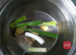 枸杞鸽子汤的做法图解7