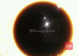 凉拌木耳的做法图解5