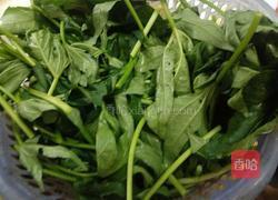 蒜香红薯叶的做法图解1