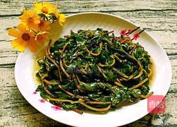 蒜蓉炒马齿苋的做法图解8