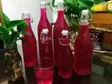 火龙果新酿酵素