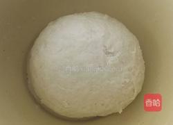 发面肉馅饼的做法图解1