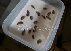 燕麦葡萄干牛奶冻