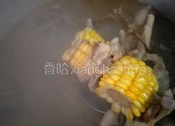 茶树菇鸡爪猪骨玉米汤
