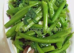 油渣南瓜苗
