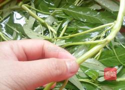 蒜蓉空心菜的做法图解2