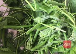 清炒南瓜头的做法图解1