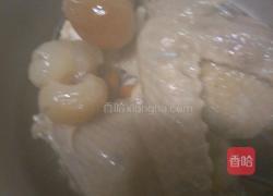 补血养颜红枣杞子炖白鸽的做法图解6