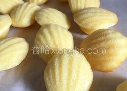 小贝壳蛋糕