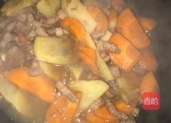 土豆胡萝卜烩猪肉的做法图解5