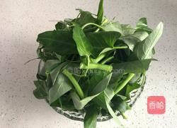蒜蓉空心菜的做法图解1
