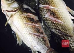 大虾饨鲫鱼的做法图解6