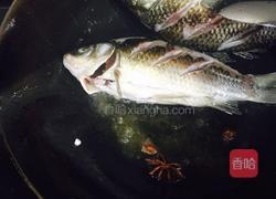 大虾饨鲫鱼的做法图解7
