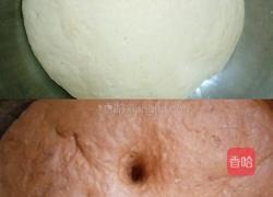 双色馒头的做法图解7