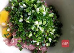 自制千层肉饼的做法图解3