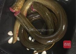 板栗炖黄鳝的做法图解4