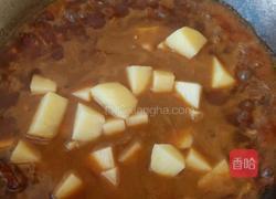 土豆烧牛肉的做法图解9