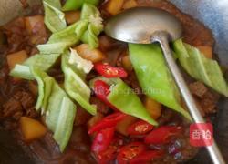 土豆烧牛肉的做法图解11