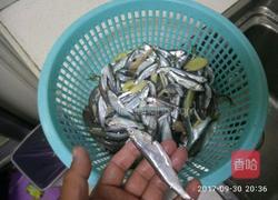 小面鱼的做法图解2