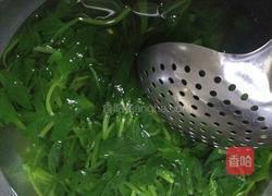 凉拌菠菜粉丝的做法图解4