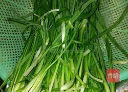 韭菜回鸡胗的做法图解1