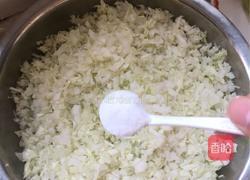 白菜馅菜龙的做法图解2