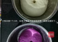 双色馒头的做法图解5