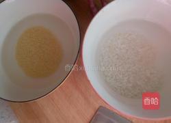 胡萝卜香菇双米粥的做法图解1