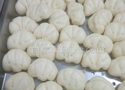 陕西迷你蝴蝶荷叶饼