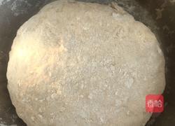 西红柿鲜肉馄饨的做法图解1
