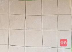 西红柿鲜肉馄饨的做法图解4
