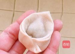 西红柿鲜肉馄饨的做法图解8