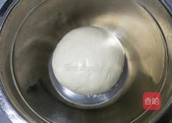 奶香吐司450g的做法图解6