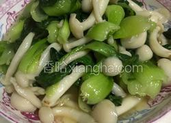 青菜炒蘑菇