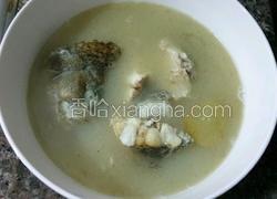 鲈鱼汤