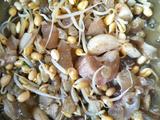 牛筋烩豆芽