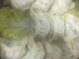 韭菜鸡蛋肉馅（肉三鲜）蒸饺的做法[图]
