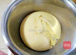 毛毛虫火腿肠馒头的做法图解6