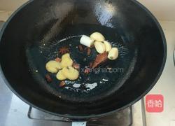 迷之啤酒鸭的做法图解6