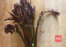 香椿海参摊饼的做法图解7