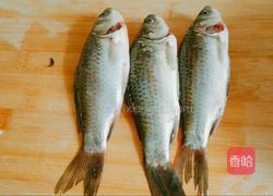 鲫鱼豆腐汤的做法图解1