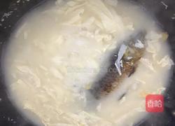 豆腐鲫鱼汤的做法图解4