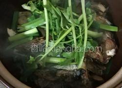 沙锅鱼头