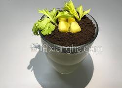 超简易网红盆栽芒果奶昔