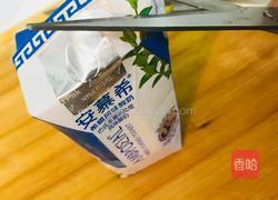 超简易网红盆栽芒果奶昔的做法图解5