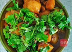 土豆烧牛肉的做法图解8