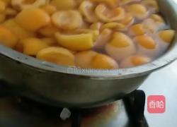 腌制冰糖琵笆的做法图解3