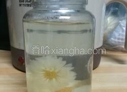 菊漫香梨（花果茶）