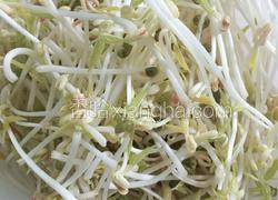 豆芽～抖芽～～～