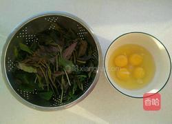 香椿炒鸡蛋的做法图解1